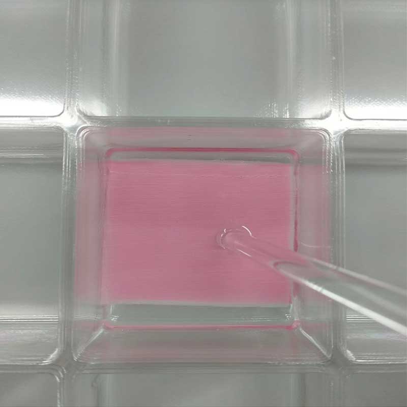 試驗片浸泡狀態